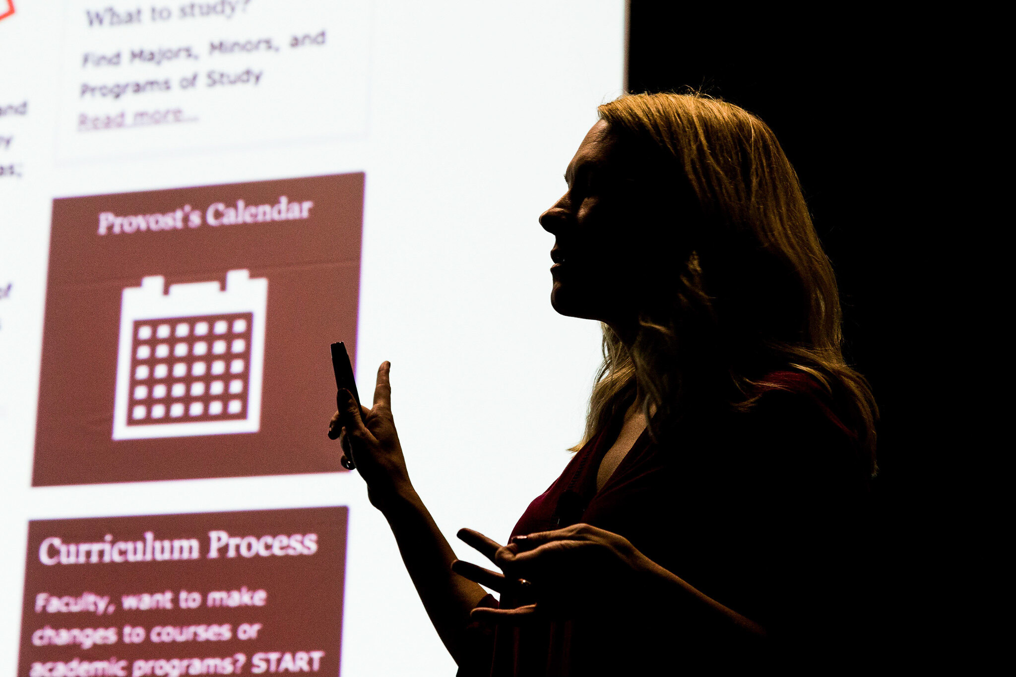 Meaghan Milliorn Fikes presents, with an screen image of a provost's calendar in the background, at the HighEdWeb 2019 conference