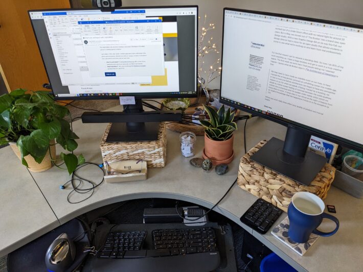 An office desk with two computer monitors, two live plants and a mug of tea