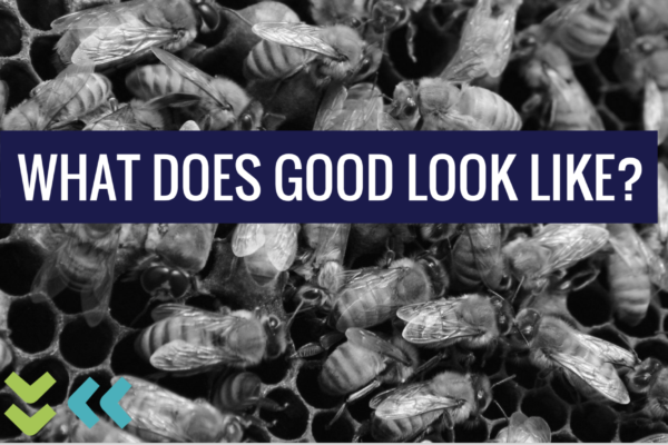 bees scrambling over honeycomb with the words "what does good look like?" laid over the image